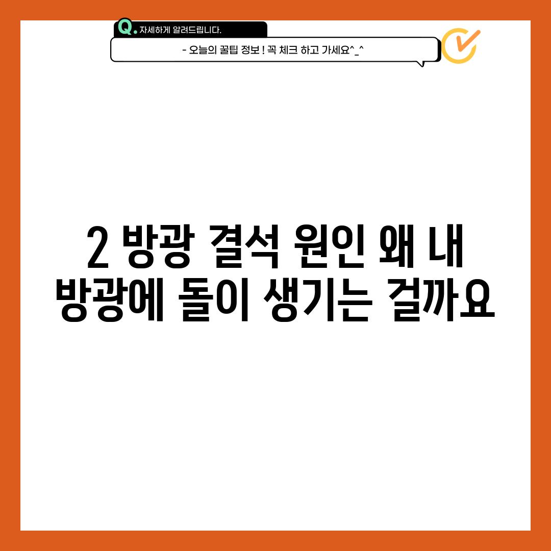 2. 방광 결석 원인: 왜 내 방광에 돌이 생기는 걸까요?