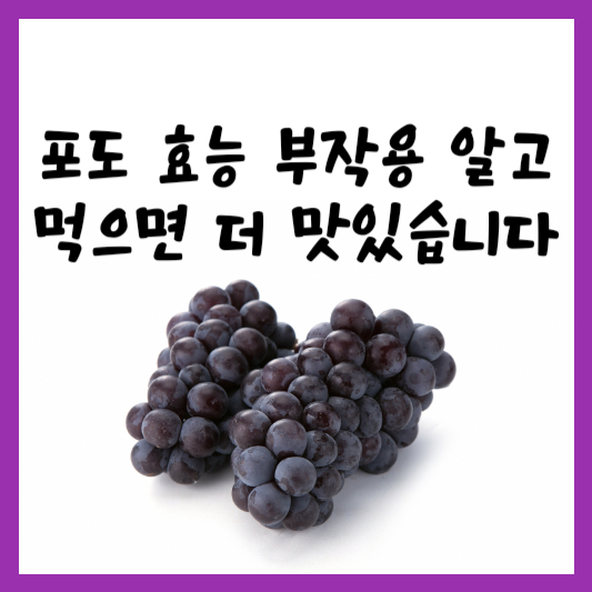 포도 효능, 부작용 알고 먹읍시다