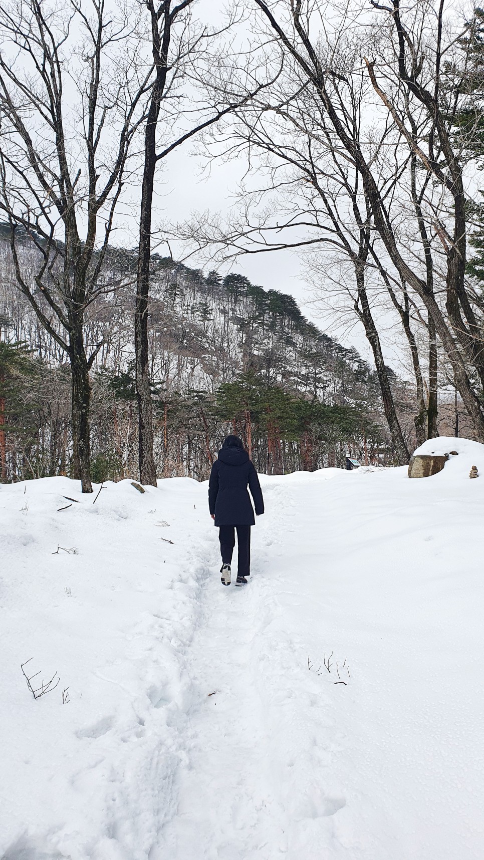 눈쌓인설악산, 25