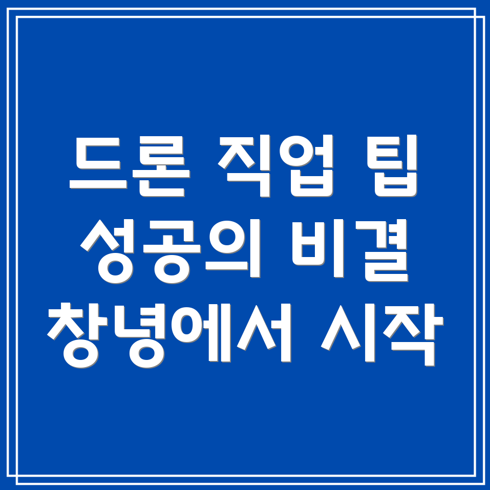 드론 전문가