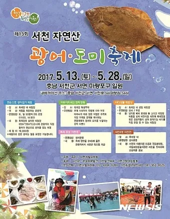 서천 광어 도미 축제에서 제철 맛 체험 완벽 여행 가이드_40