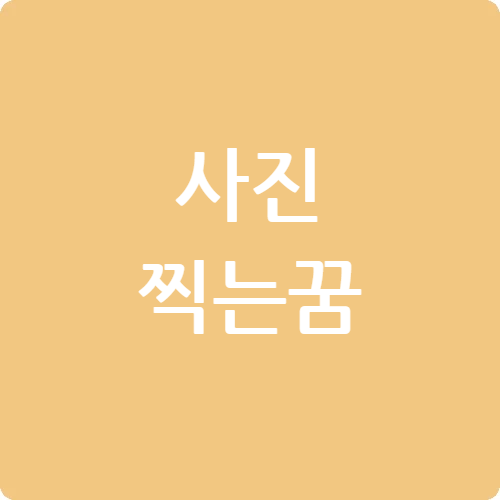 사진찍는 꿈