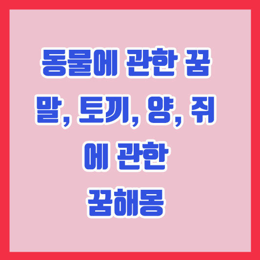 동물에 관한 꿈