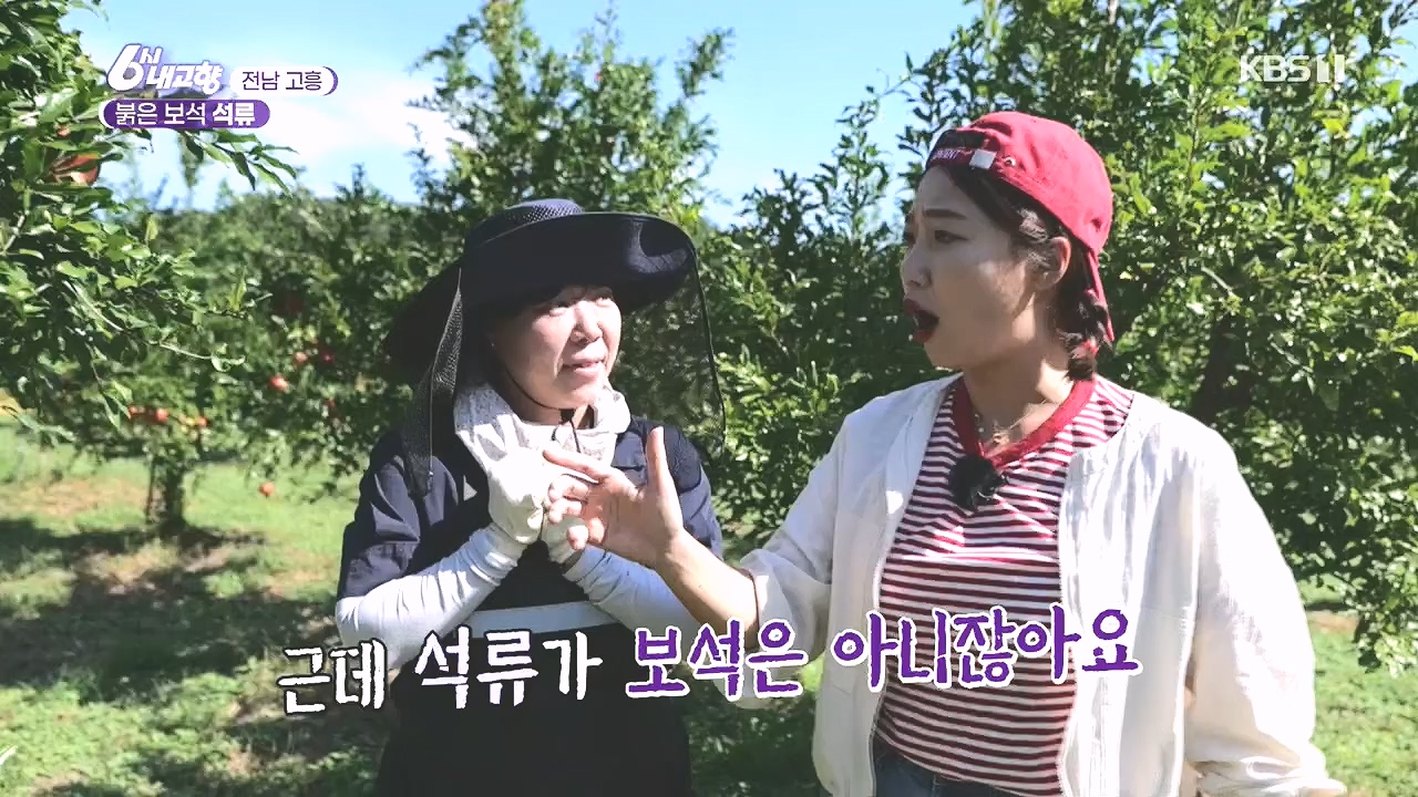 6시 내고향.E7892.231018p.H264-F1RST.mp4_20231018_194700.890.jpg