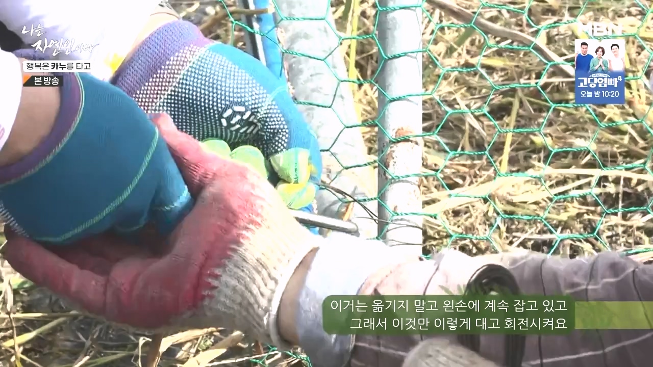나는 자연인이다.E576.231019p-NEXT.mp4_20231019_201418.455.jpg