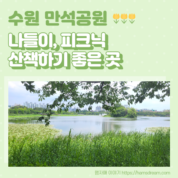 수원 만석공원_나들이&#44; 피크닉&#44; 산책하기 좋은 곳