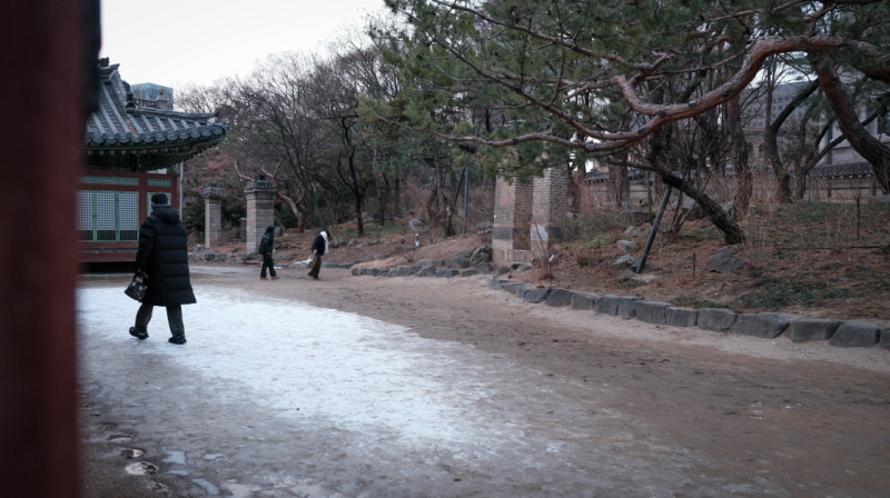 뒷마당