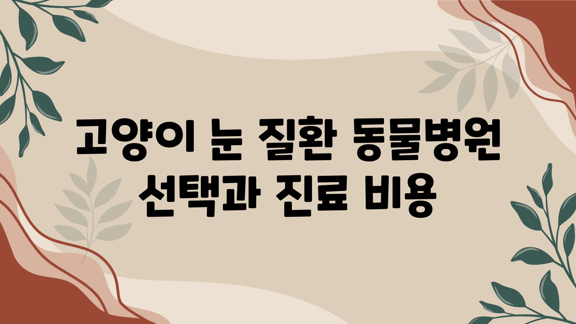 고양이 눈 질환 동물병원 선택과 진료 비용