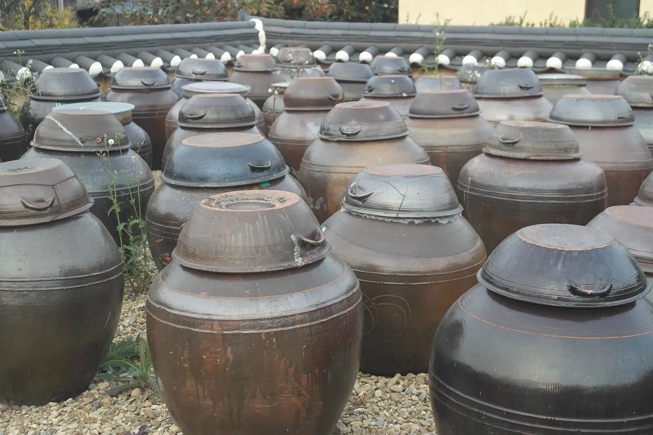 한국의김치