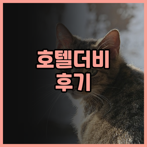 호텔 더비 바르셀로나 후기 정말 궁금