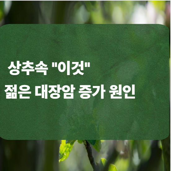 상추 이것 대장암 원인일 수도