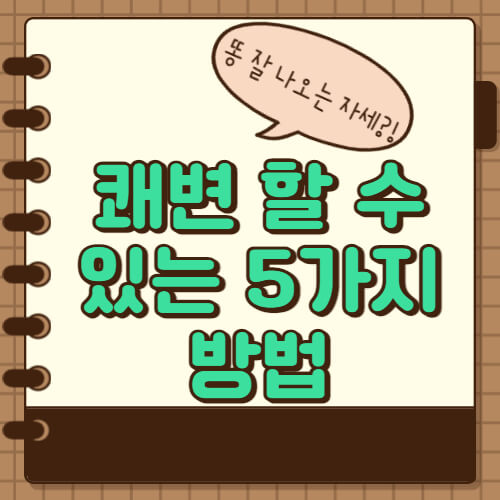 쾌변하는법 모르면 손해