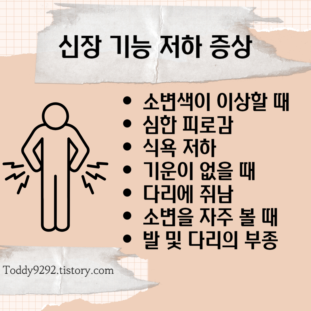 신장 기능 저하 증상