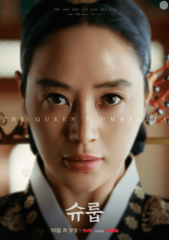  퓨전 사극, 슈룹, The Queen's Unbrella  (tvN, 넷플릭스)