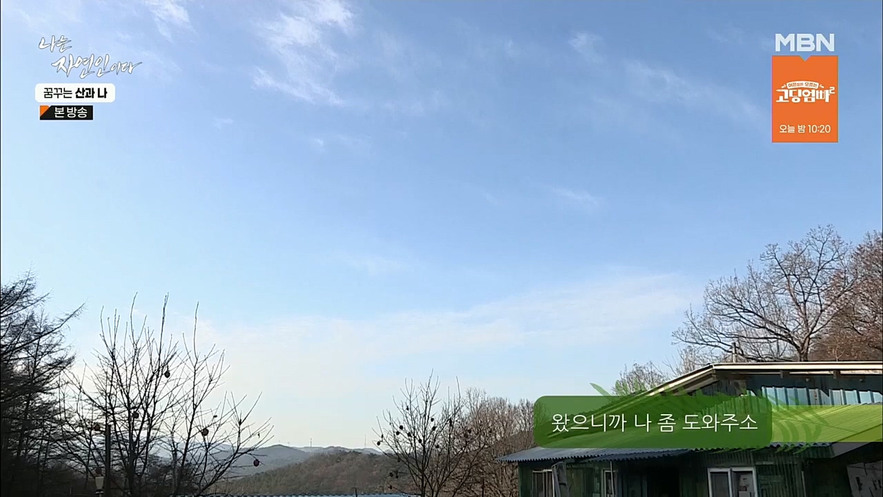 나는 자연인이다.E534.221229p.H264-F1RST.mp4_20221229_200026.002.jpg