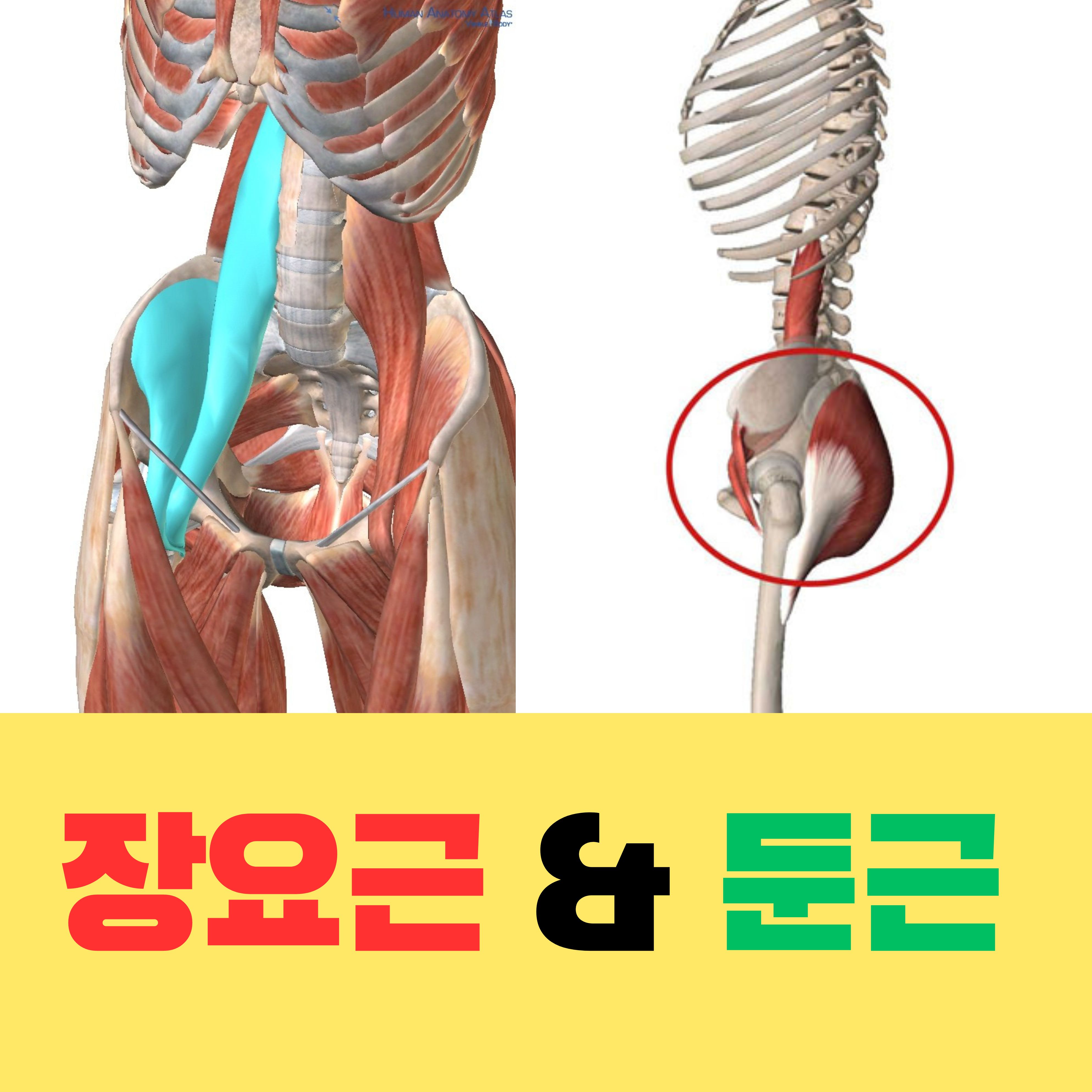  골프치고나서 허리가 아플떄는 이렇게