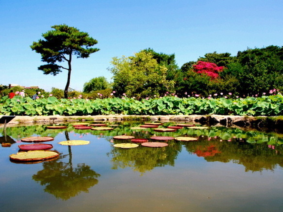 [230213 글/시]세상에서 가장 1