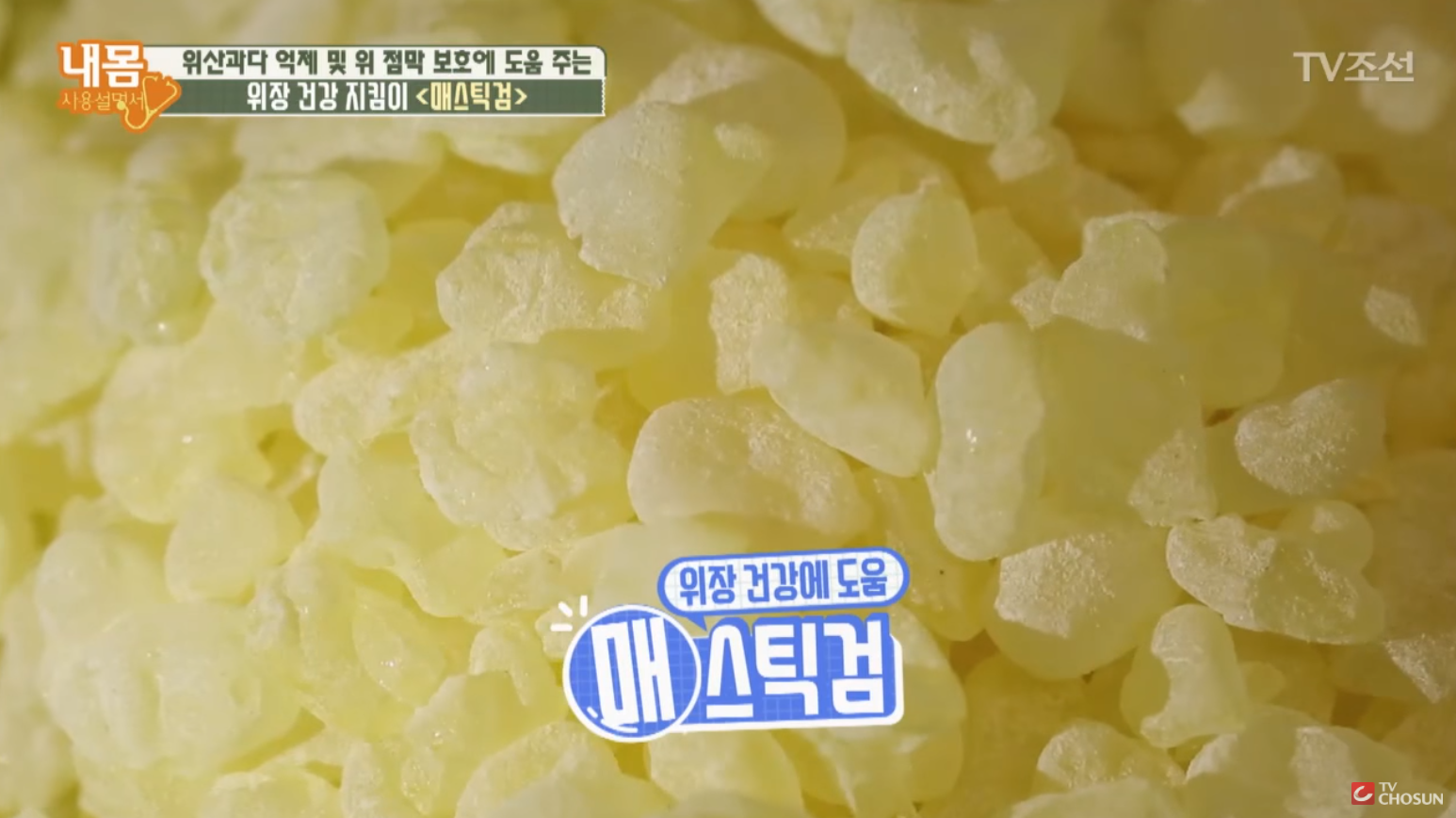  매스틱검 효능 및 부작용 총정리