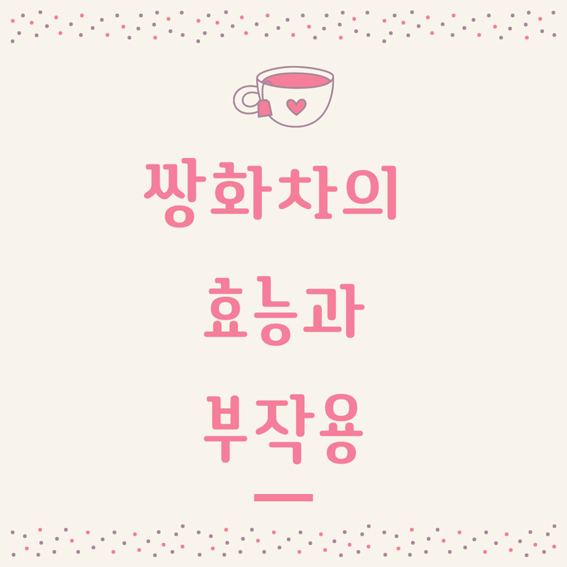 쌍화탕 효능 부작용 쌍화탕과 쌍화차의 차이 피로회복 만점