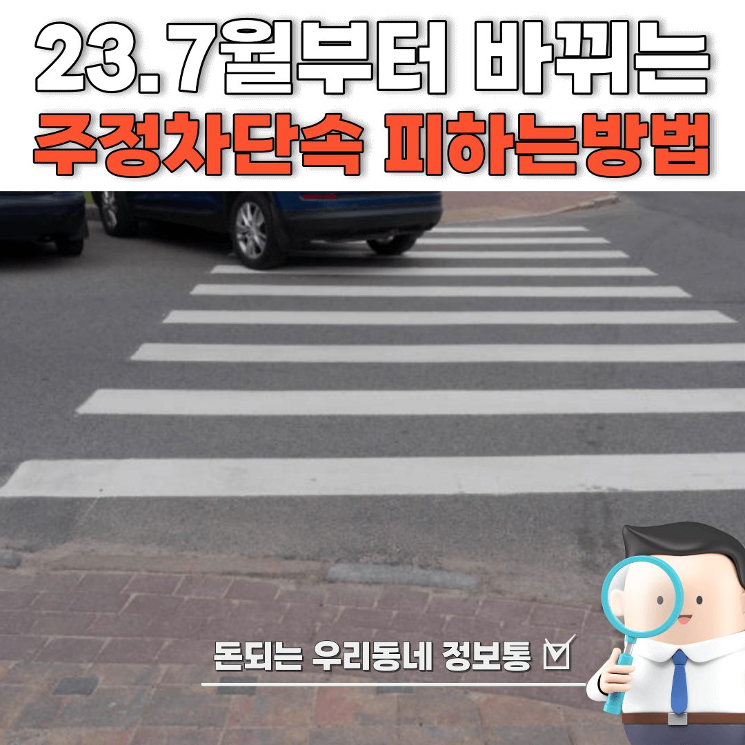  7월부터 바뀌는 주정차 단속 과태료 및 주정차단속 알림 (최신)