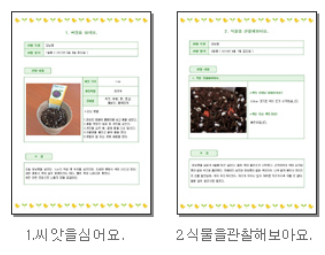  강낭콩 관찰일지 양식 초등 방학숙제