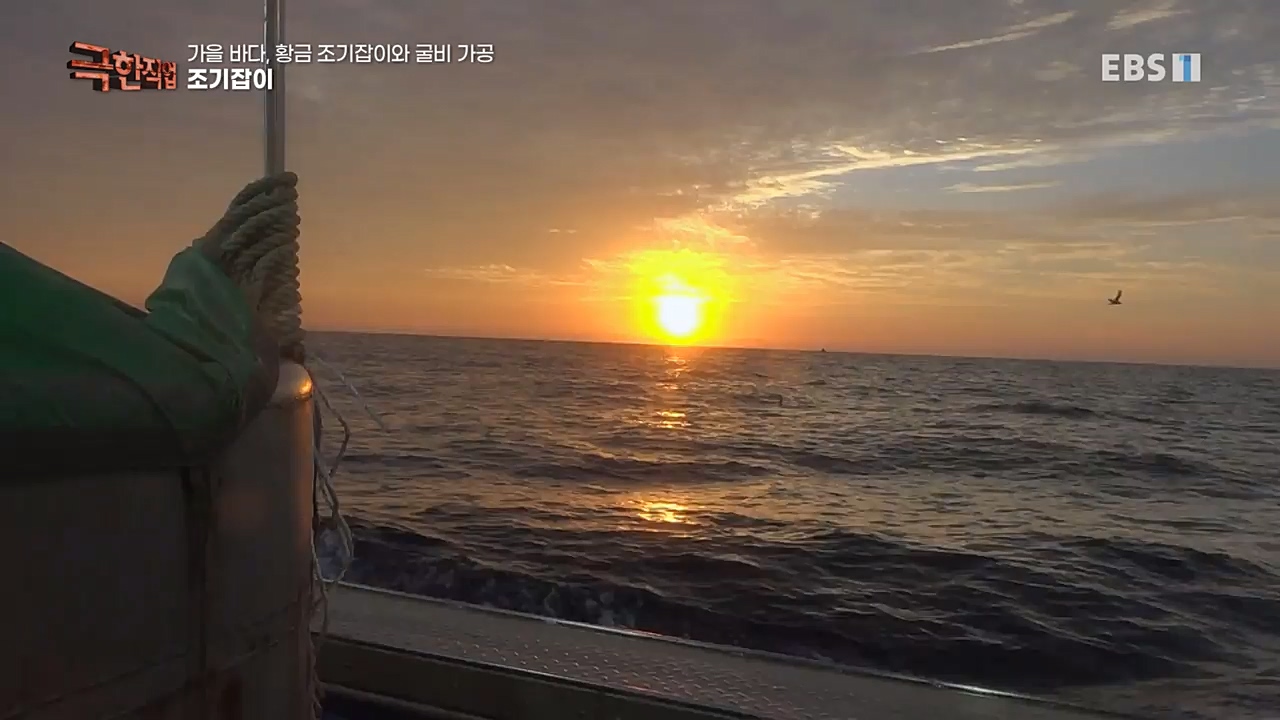 TV - 교육의 중심 EBS가을 바다 황금 조기잡이와 굴비 가공.mp4_20221122_195439.451.jpg
