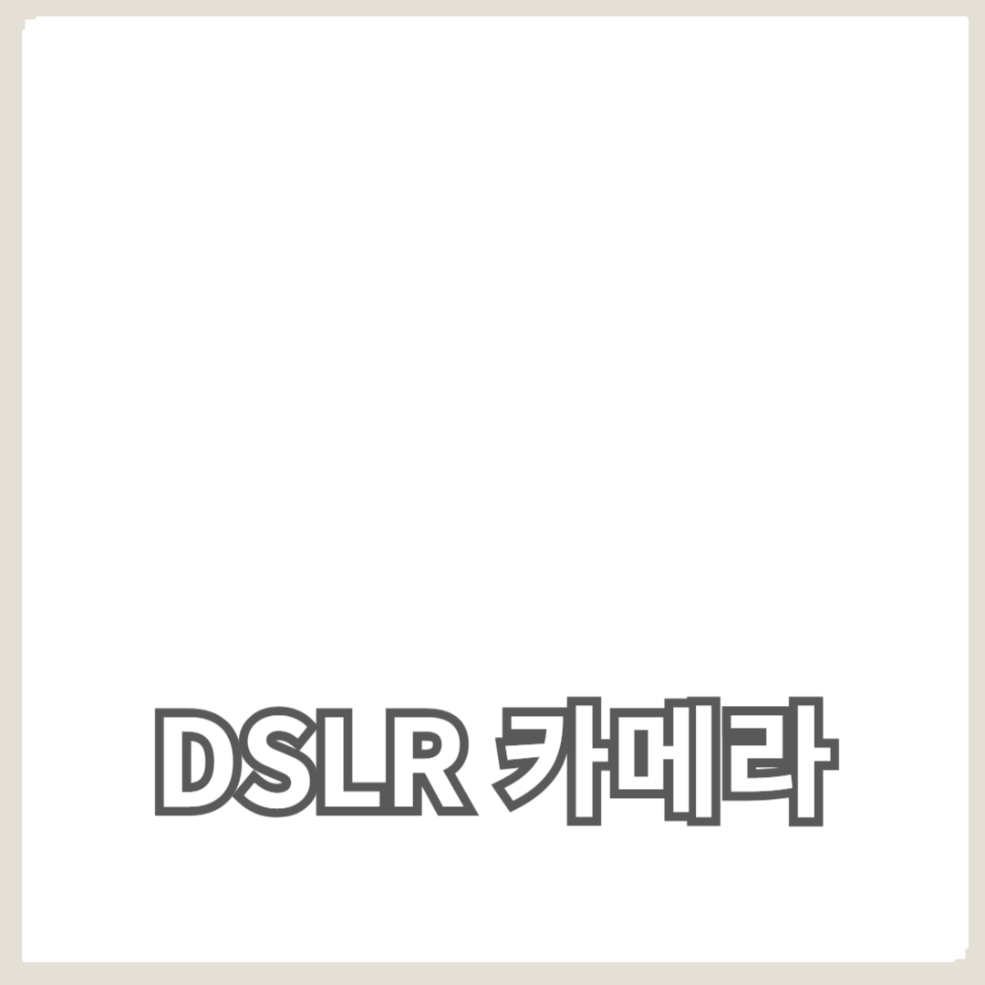 초보자를 위한 최고의 DSLR 카메라 추천