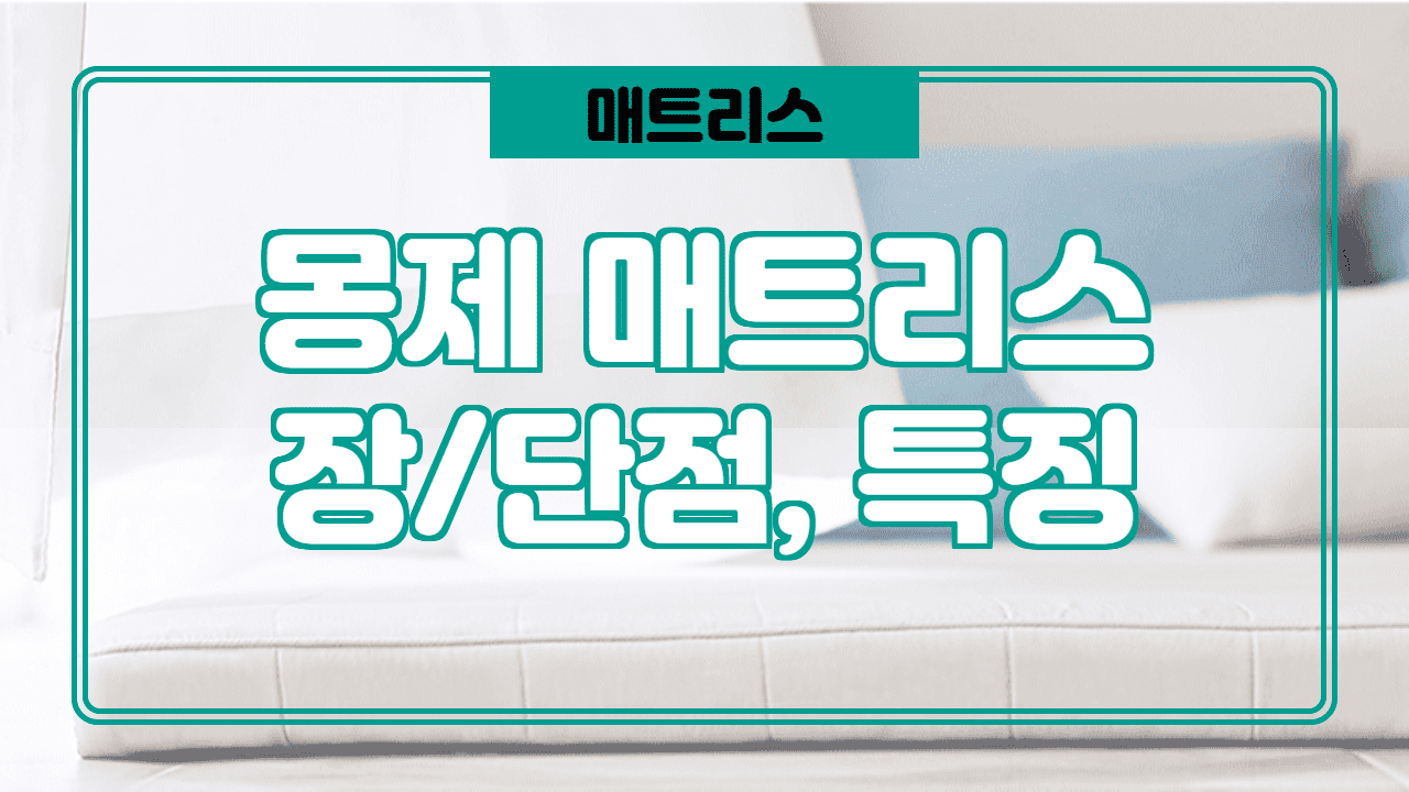  몽제 매트리스 단점 장점