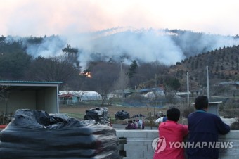 홍성 대전 산불
