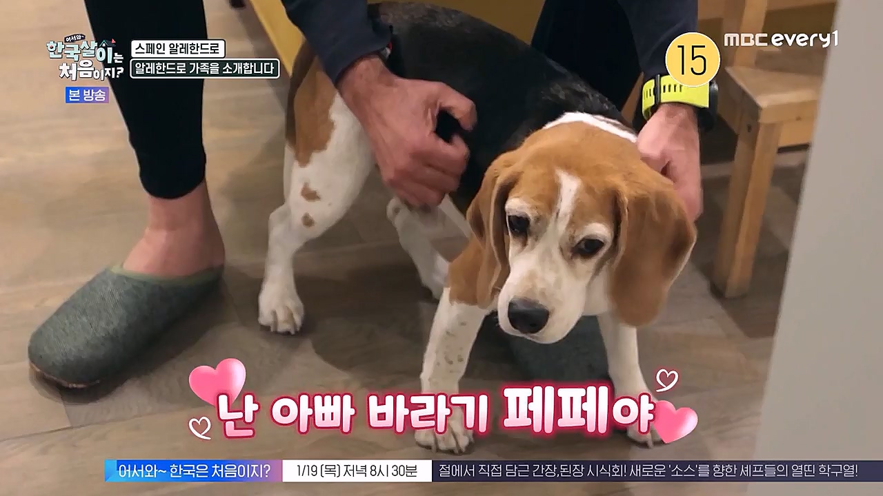 어서와 한국살이는 처음이지.E05.230118p-NEXT.mp4_20230118_204302.469.jpg