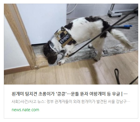  [저녁뉴스] 흰개미 탐지견 초롱이가 '킁킁'…문틀 뜯자 여왕개미 등 우글
