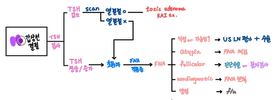 갑상선 결절의 진단과정