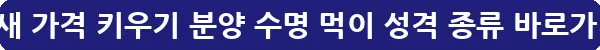 앵무새 가격 키우기 분양 수명 먹이 성격 종류_9