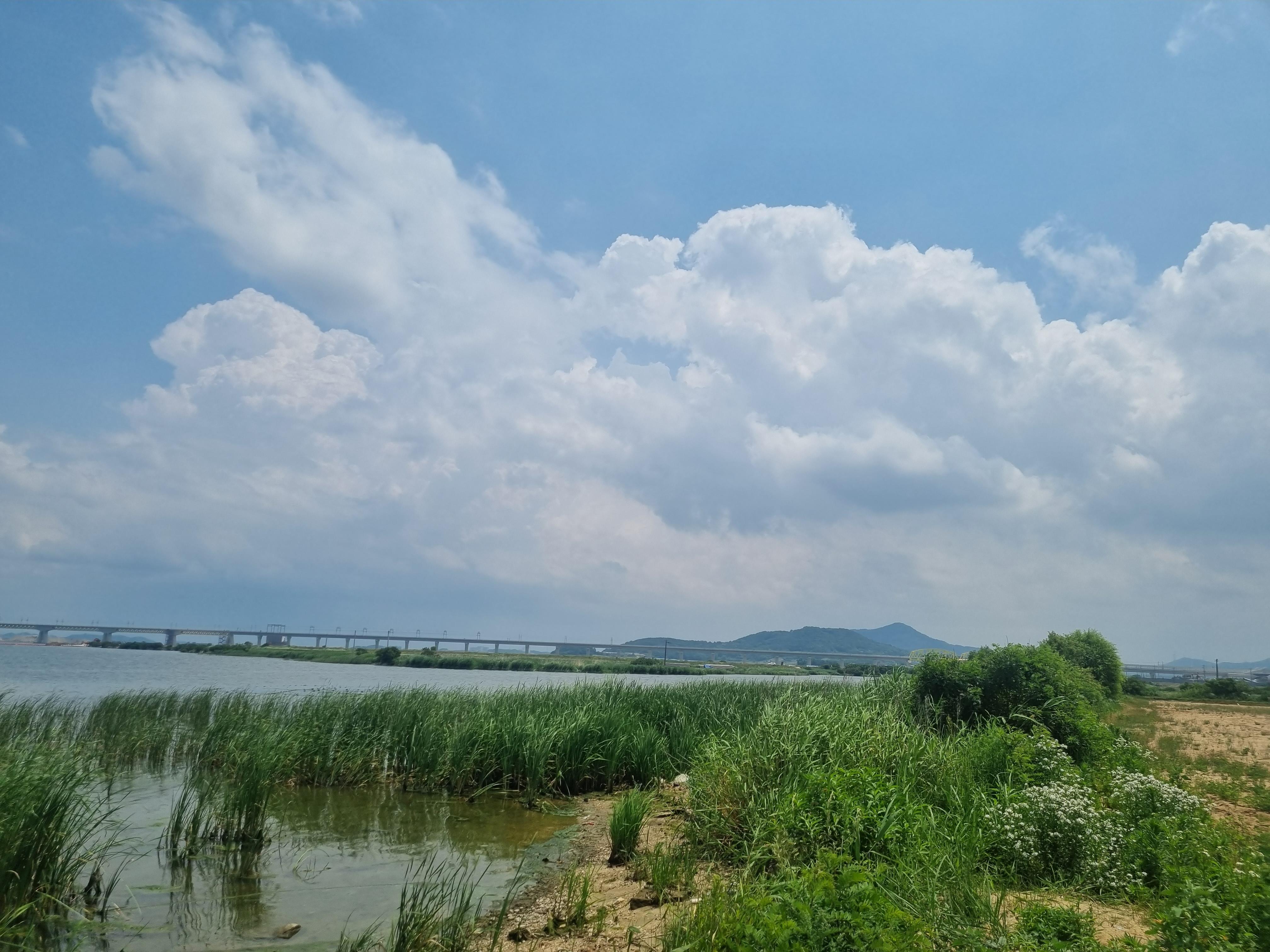 충남 경기도 배스낚시포인트 아산호