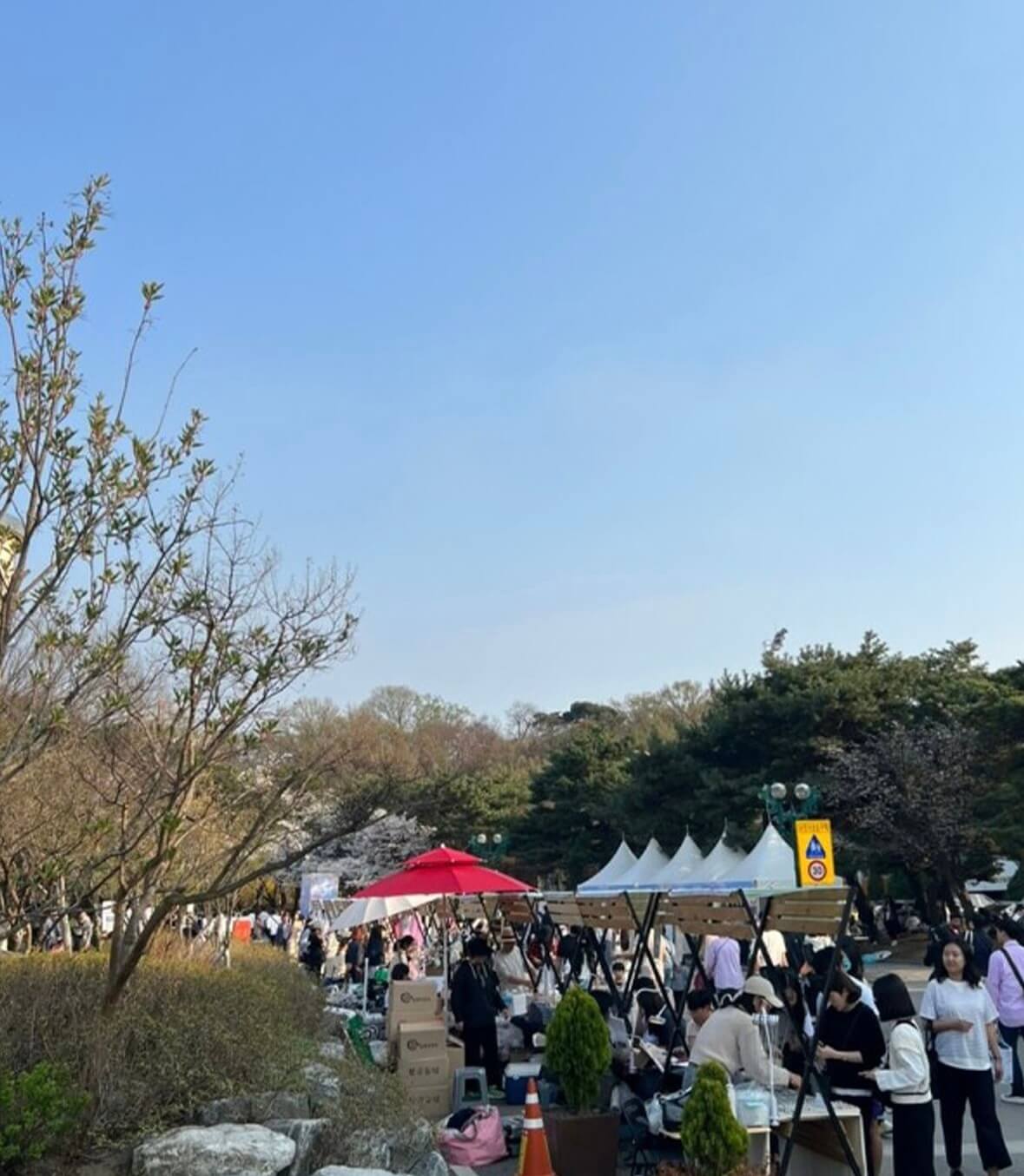 렛츠런파크 서울 가을 축제 &amp;#39;밤마실 페스티벌&amp;#39; 무료 입장권 다운 - 쉼터 사진