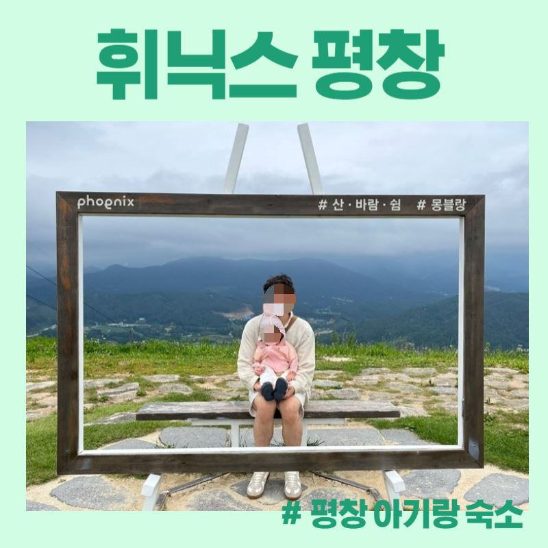 [아기랑 숙소] 평창 휘닉스 파크 패키지 이용 후기(조식 or 중식 + 루지 + 곤돌라 + 워터파크)