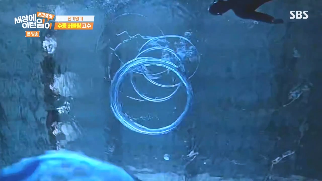순간포착 세상에 이런일이.E1277.240512p-NEXT.mp4_20240512_151449.757.jpg