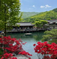 화담숲 예약방법