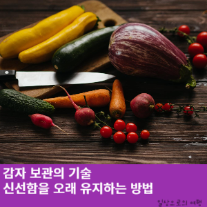 썸네일 사진