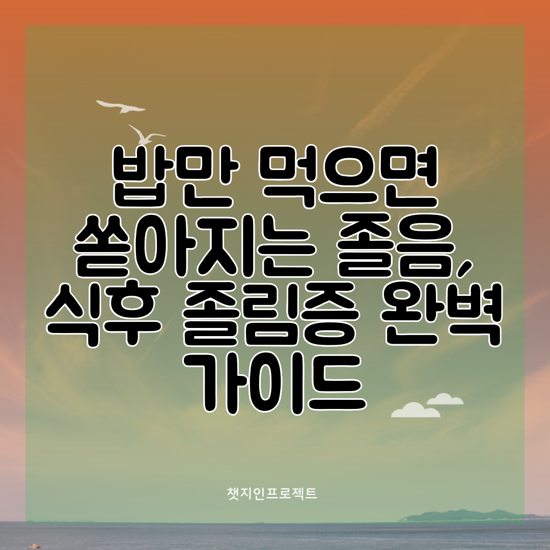 밥만 먹으면 쏟아지는 졸음, 식후 졸림증 완벽 가이드