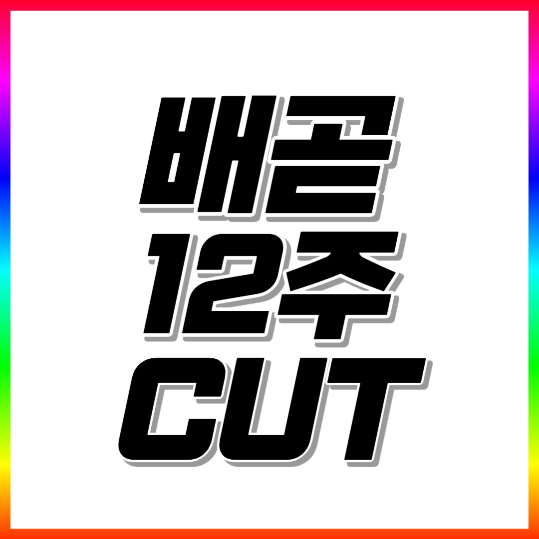  배곧동 중등 수학과외 고등 영어과외 내신관리 국어 국사 과학 전과목 방학특강