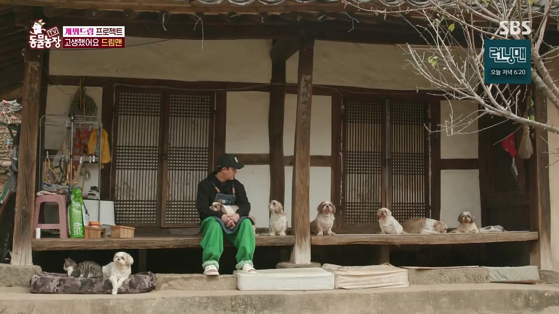 TV 동물농장.E1103.230108p.H264-F1RST.mp4_20230108_174651.805.jpg