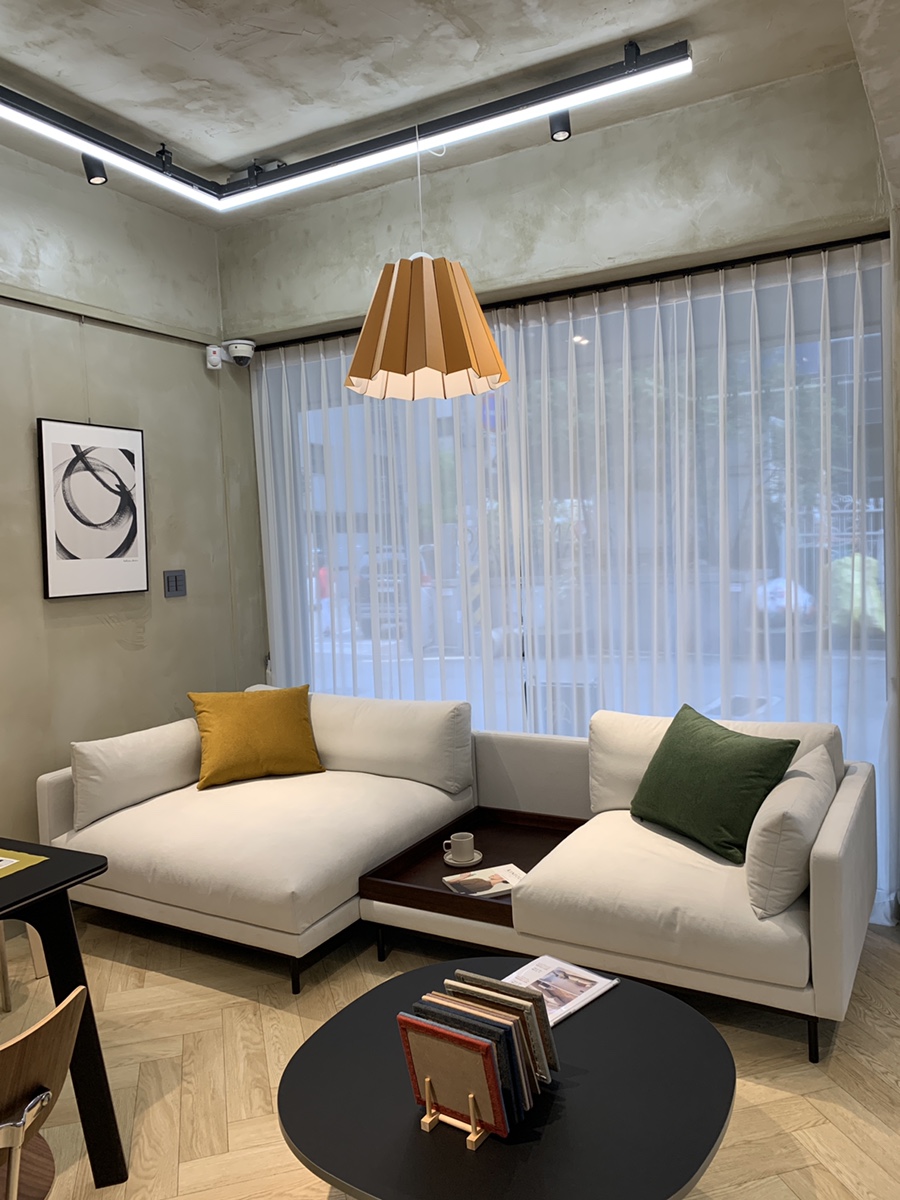 잭슨카멜레온, 플랜트란스 22