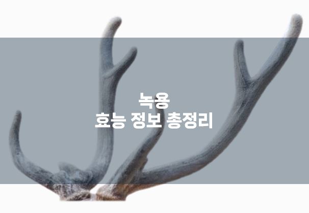 녹용