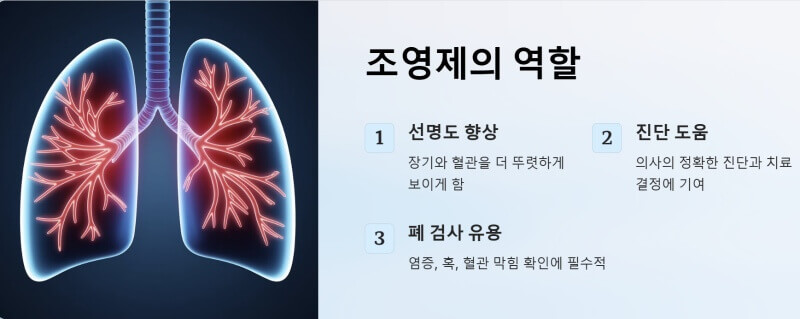 조영제의 역할 ppt이미지