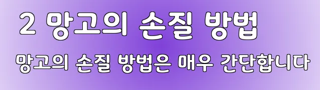  2 망고의 손질 방법 망고의 손질 방법은 매우 간단합니다