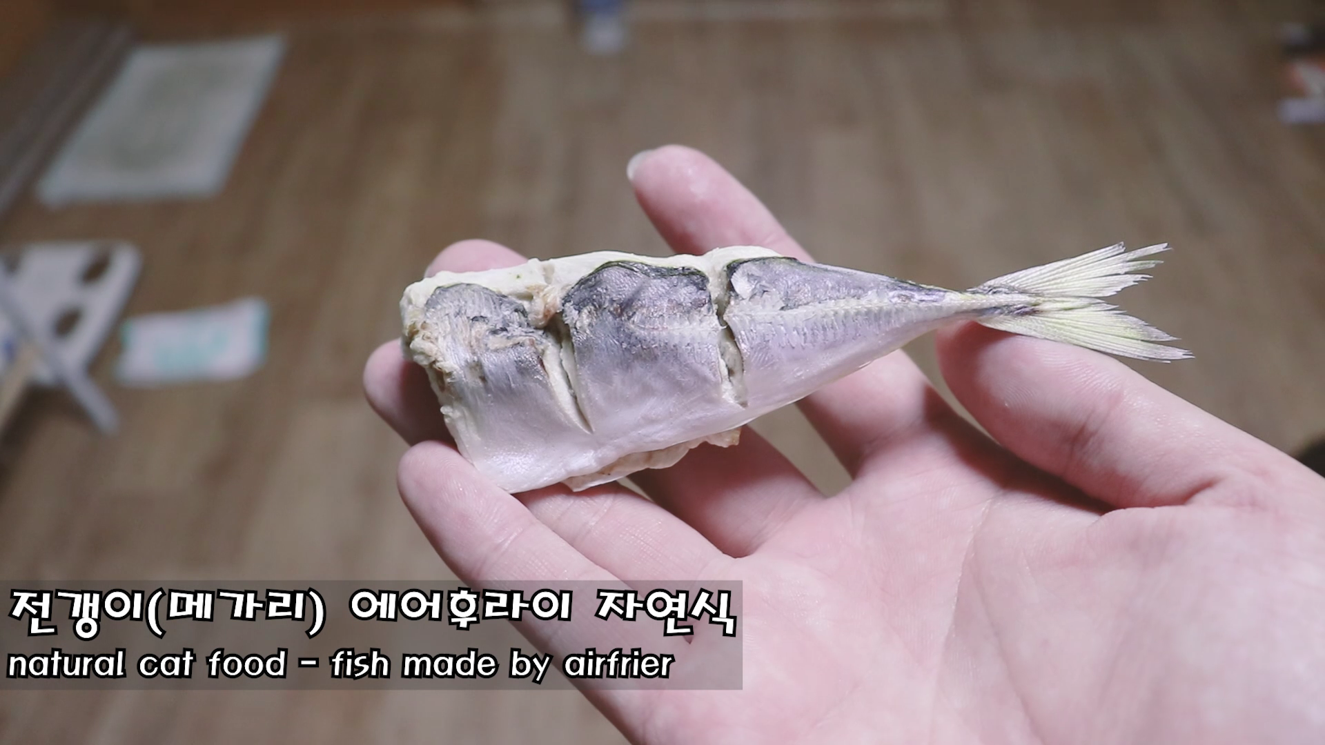  고양이 자연식 #8 - 전갱이(메가리) 에어프라이어 생선구이, 튀김