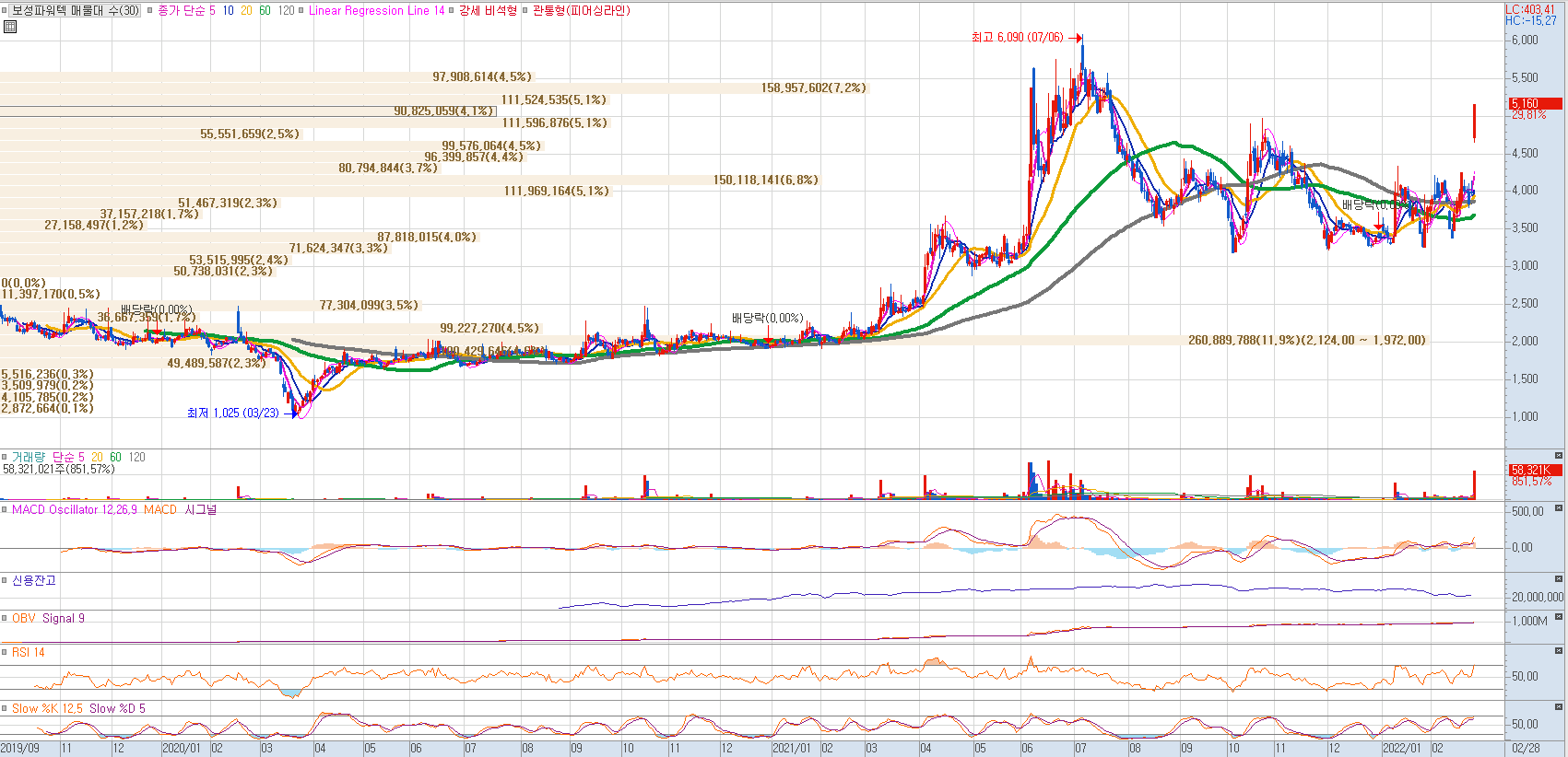 보성파워텍 일봉차트(영웅문HTS)