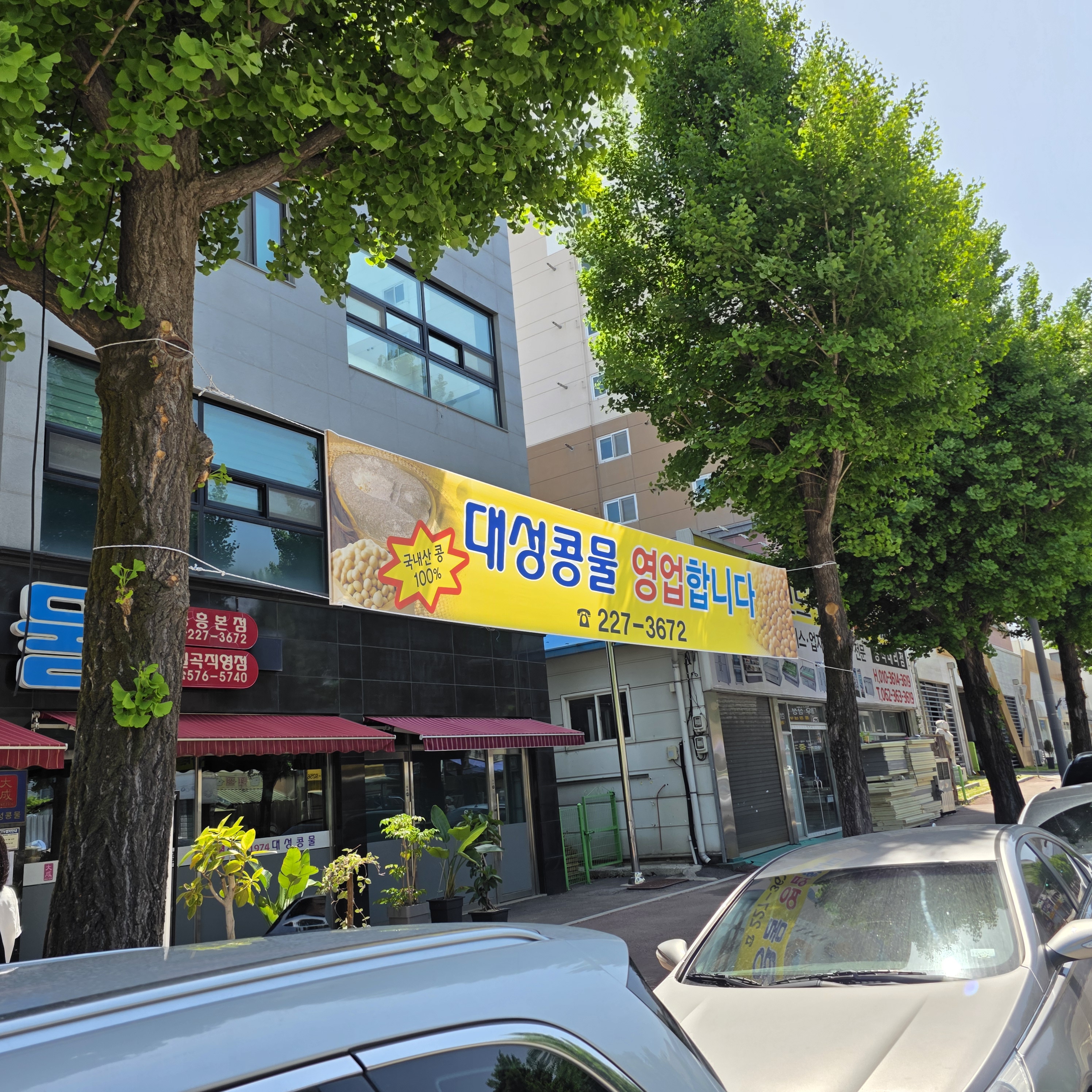 대성콩물 이미지