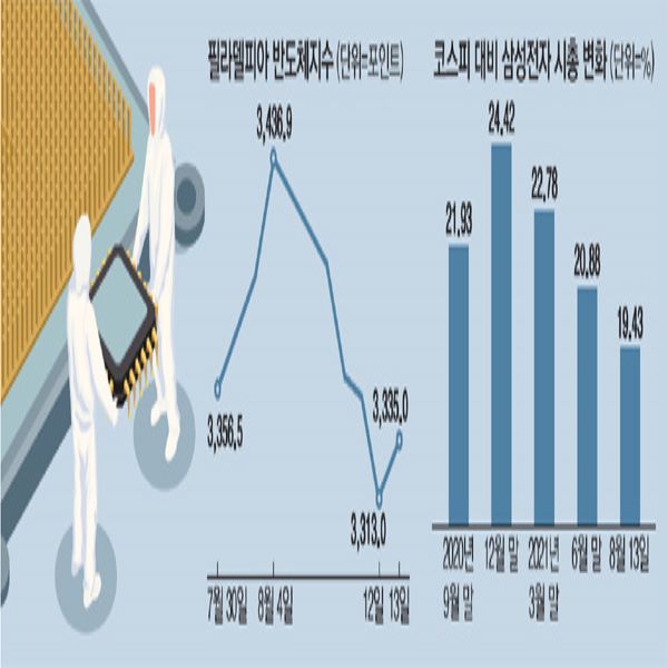  미국 반도체 주 반등했다, 삼성전자 SK하이닉스 바닥 잡을까